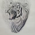 Tigre